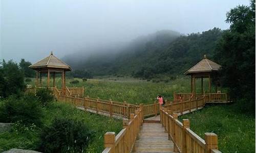 百花山_百花山自然风景区简介